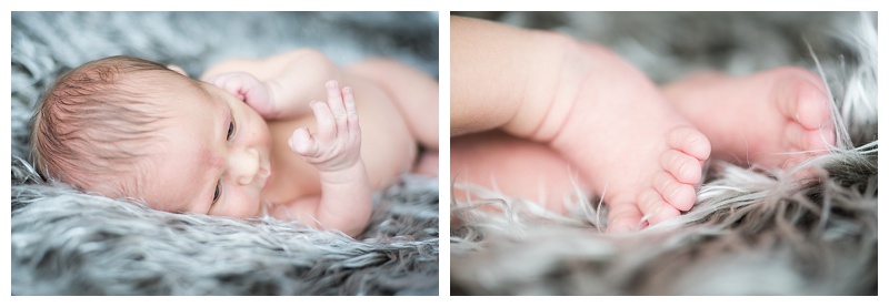 Family_0260